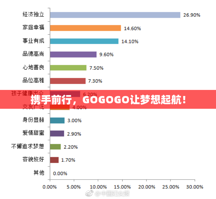 携手前行，GOGOGO让梦想起航！