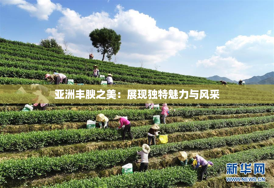 亚洲丰腴之美：展现独特魅力与风采