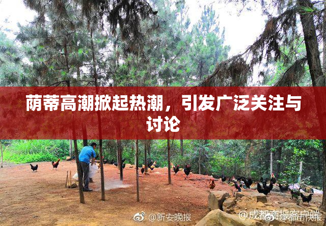 荫蒂高潮掀起热潮，引发广泛关注与讨论