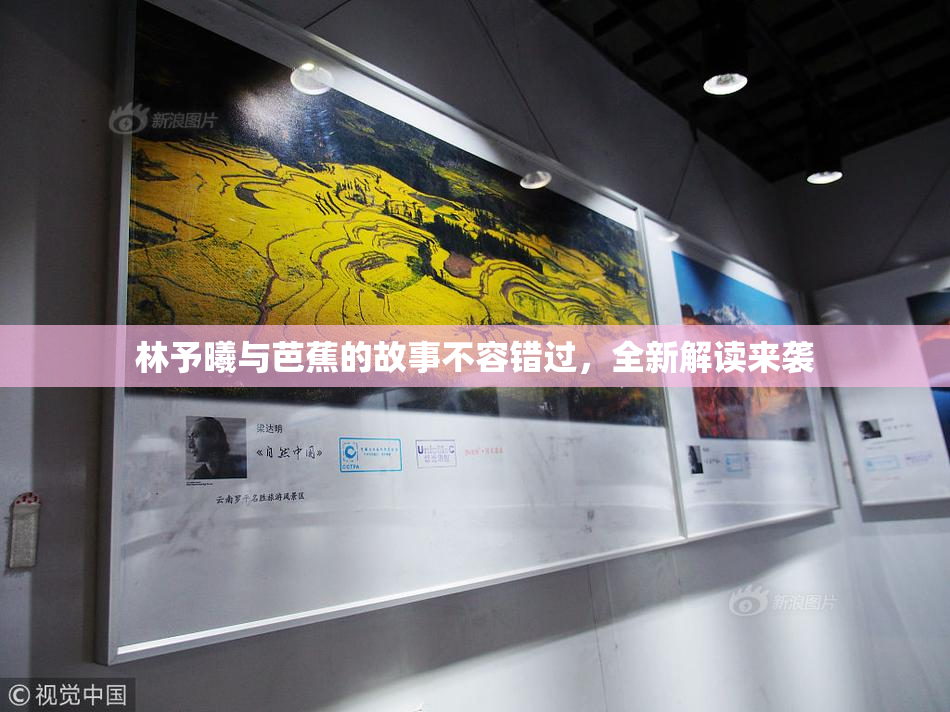林予曦与芭蕉的故事不容错过，全新解读来袭