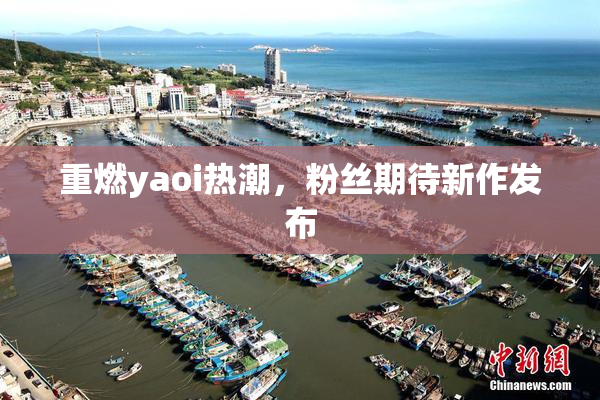 重燃yaoi热潮，粉丝期待新作发布