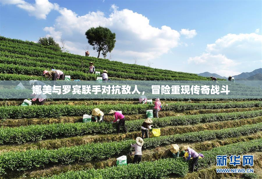 娜美与罗宾联手对抗敌人，冒险重现传奇战斗