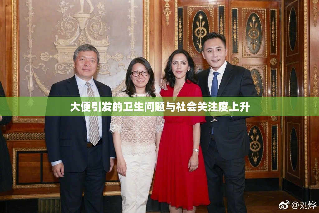 大便引发的卫生问题与社会关注度上升