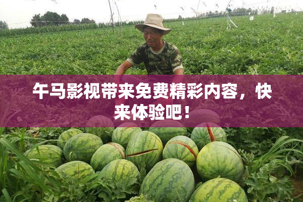 午马影视带来免费精彩内容，快来体验吧！