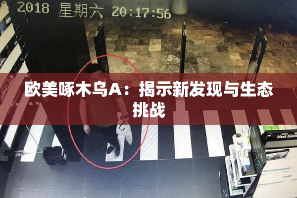 欧美啄木乌A：揭示新发现与生态挑战