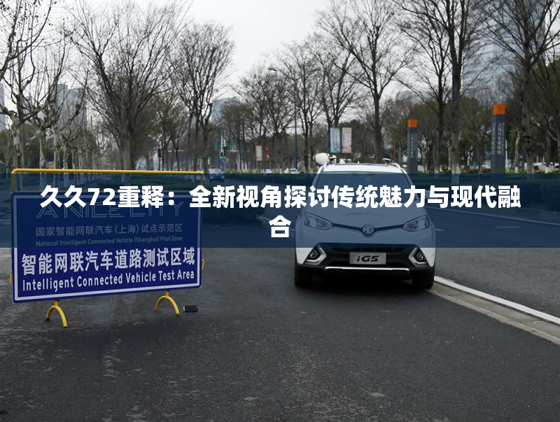 久久72重释：全新视角探讨传统魅力与现代融合