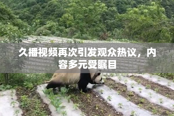 久播视频再次引发观众热议，内容多元受瞩目