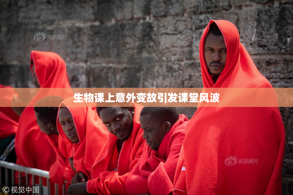 生物课上意外变故引发课堂风波