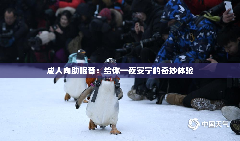 成人向助眠音：给你一夜安宁的奇妙体验