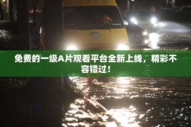 免费的一级A片观看平台全新上线，精彩不容错过！