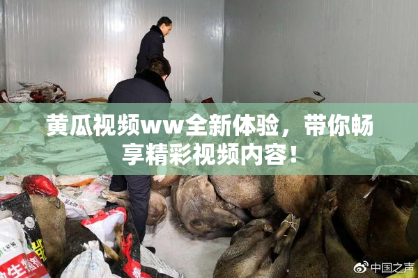 黄瓜视频ww全新体验，带你畅享精彩视频内容！