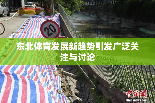 东北体育发展新趋势引发广泛关注与讨论