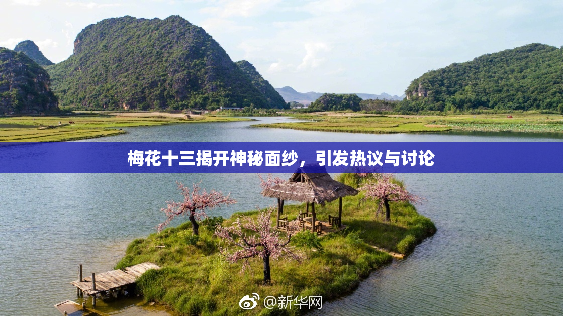 梅花十三揭开神秘面纱，引发热议与讨论