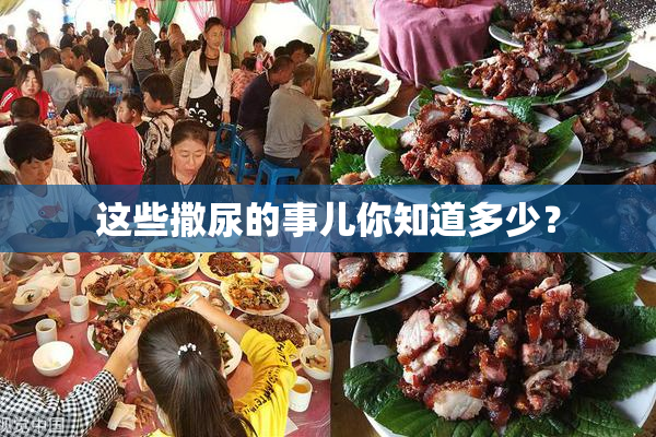 这些撒尿的事儿你知道多少？