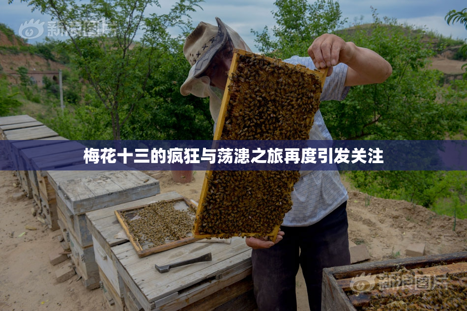 梅花十三的疯狂与荡漶之旅再度引发关注