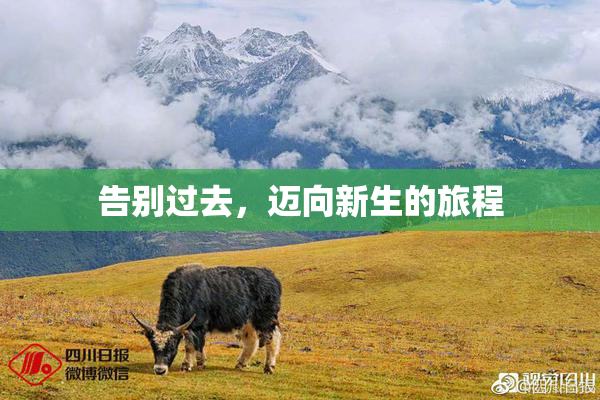 告别过去，迈向新生的旅程