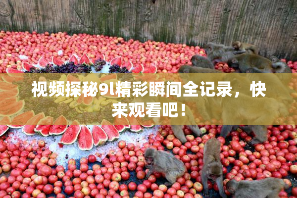 视频探秘9l精彩瞬间全记录，快来观看吧！