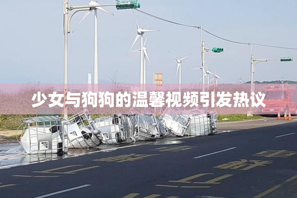 少女与狗狗的温馨视频引发热议