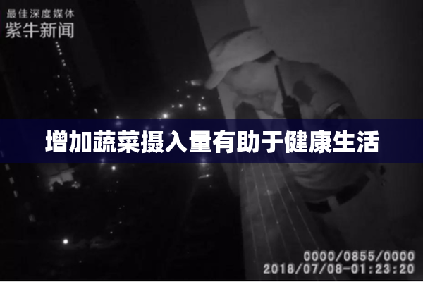 增加蔬菜摄入量有助于健康生活