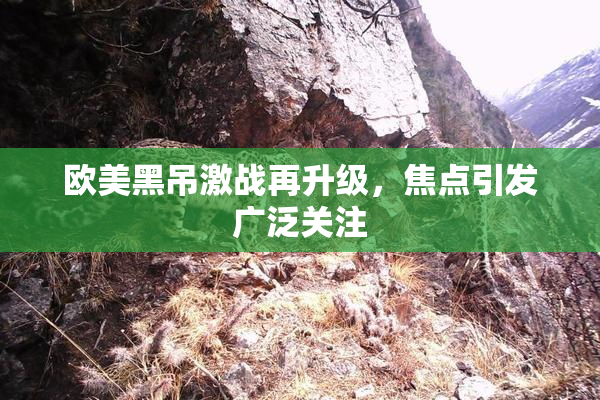 欧美黑吊激战再升级，焦点引发广泛关注