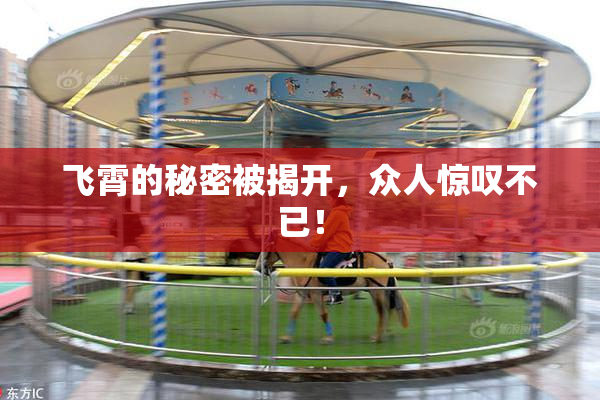 飞霄的秘密被揭开，众人惊叹不已！