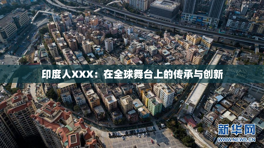 印度人XXX：在全球舞台上的传承与创新