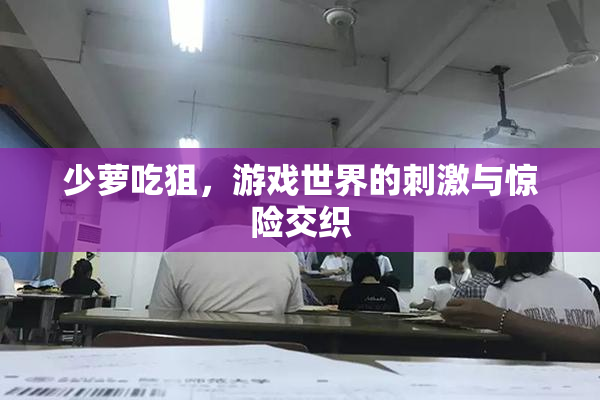 少萝吃狙，游戏世界的刺激与惊险交织