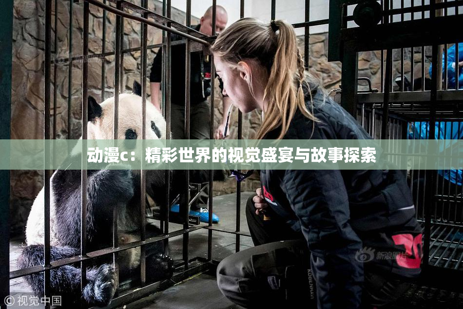 动漫c：精彩世界的视觉盛宴与故事探索