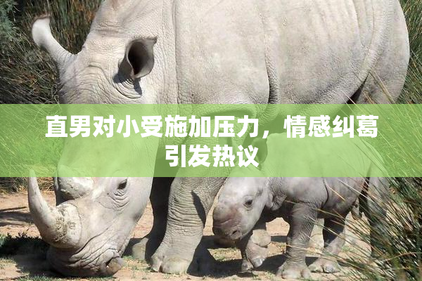 直男对小受施加压力，情感纠葛引发热议