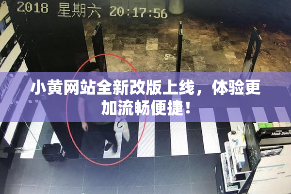 小黄网站全新改版上线，体验更加流畅便捷！