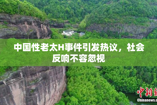 中国性老太H事件引发热议，社会反响不容忽视