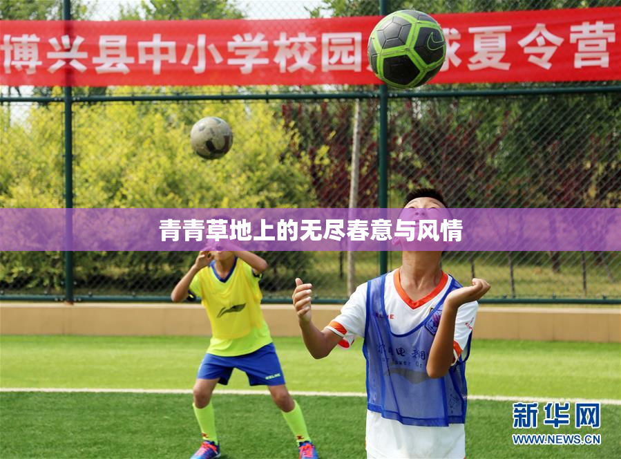 青青草地上的无尽春意与风情