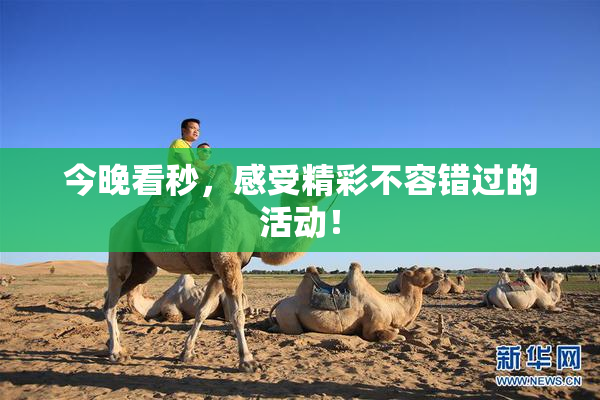今晚看秒，感受精彩不容错过的活动！