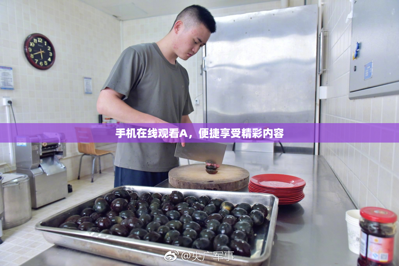 手机在线观看A，便捷享受精彩内容