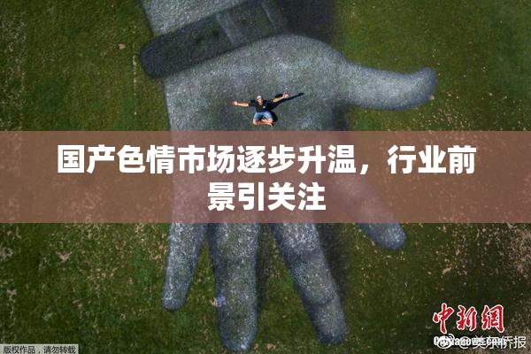 国产色情市场逐步升温，行业前景引关注