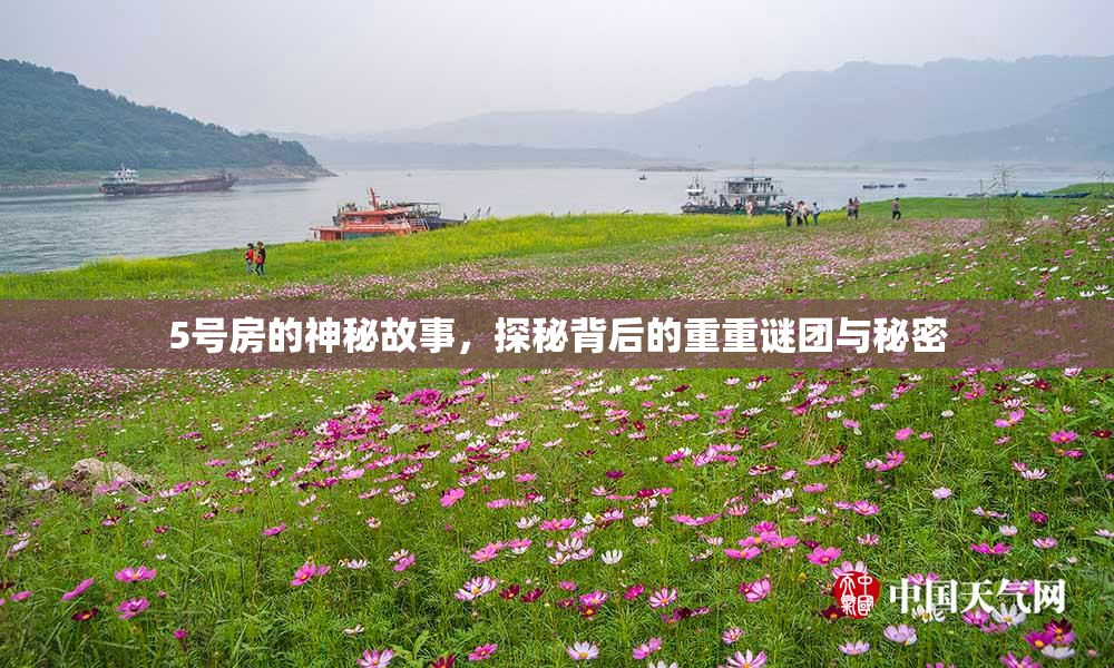 5号房的神秘故事，探秘背后的重重谜团与秘密