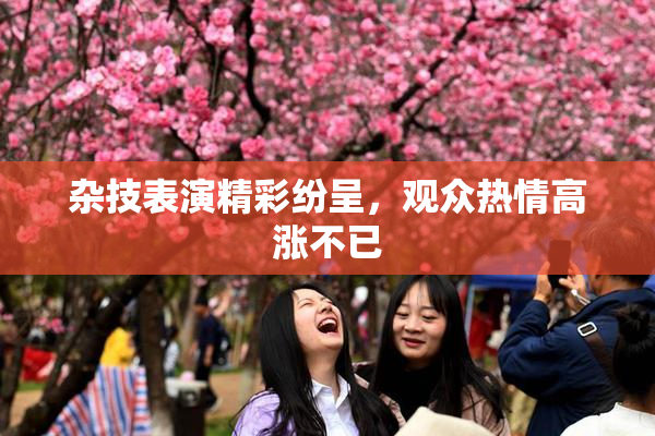 杂技表演精彩纷呈，观众热情高涨不已