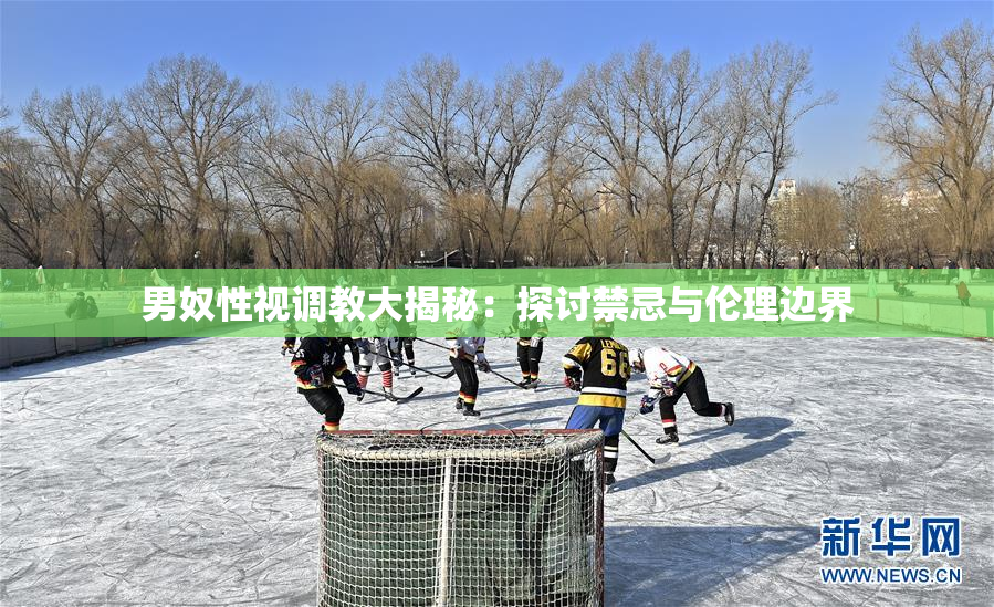 男奴性视调教大揭秘：探讨禁忌与伦理边界