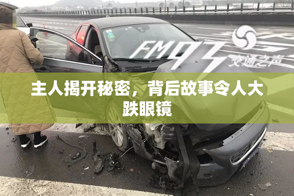主人揭开秘密，背后故事令人大跌眼镜