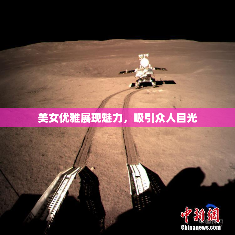 美女优雅展现魅力，吸引众人目光
