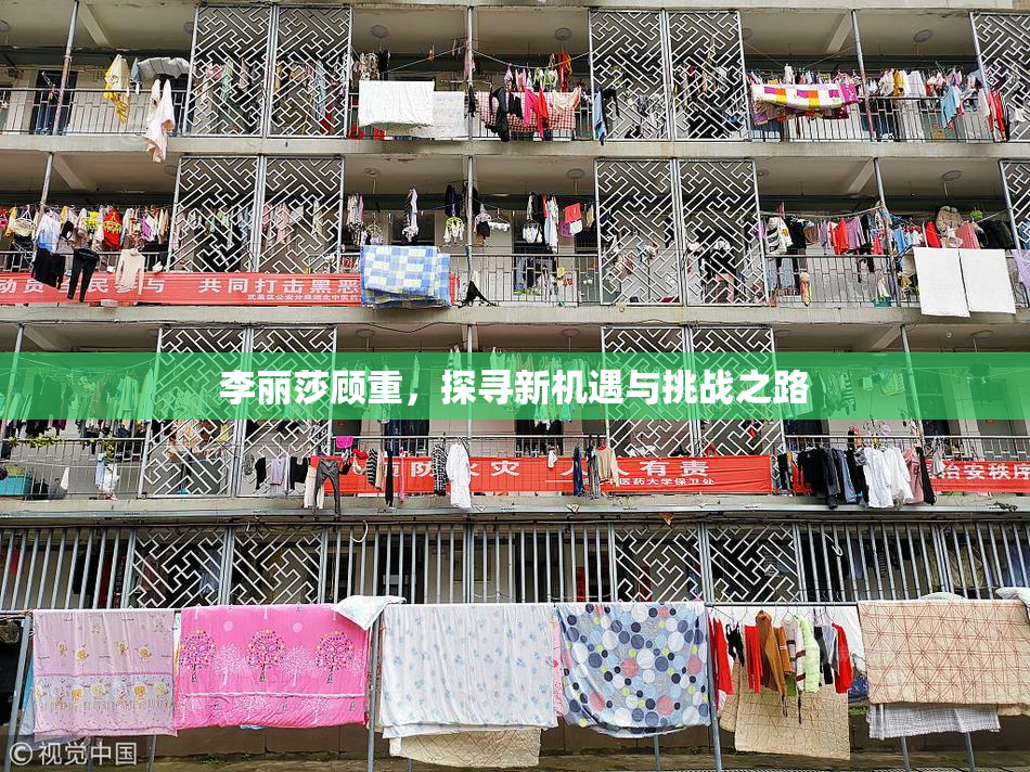李丽莎顾重，探寻新机遇与挑战之路