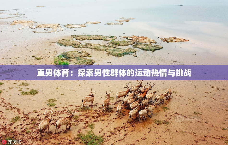 直男体育：探索男性群体的运动热情与挑战