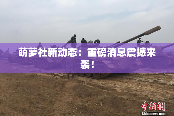 萌萝社新动态：重磅消息震撼来袭！