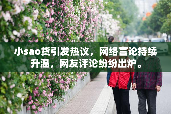 小sao货引发热议，网络言论持续升温，网友评论纷纷出炉。