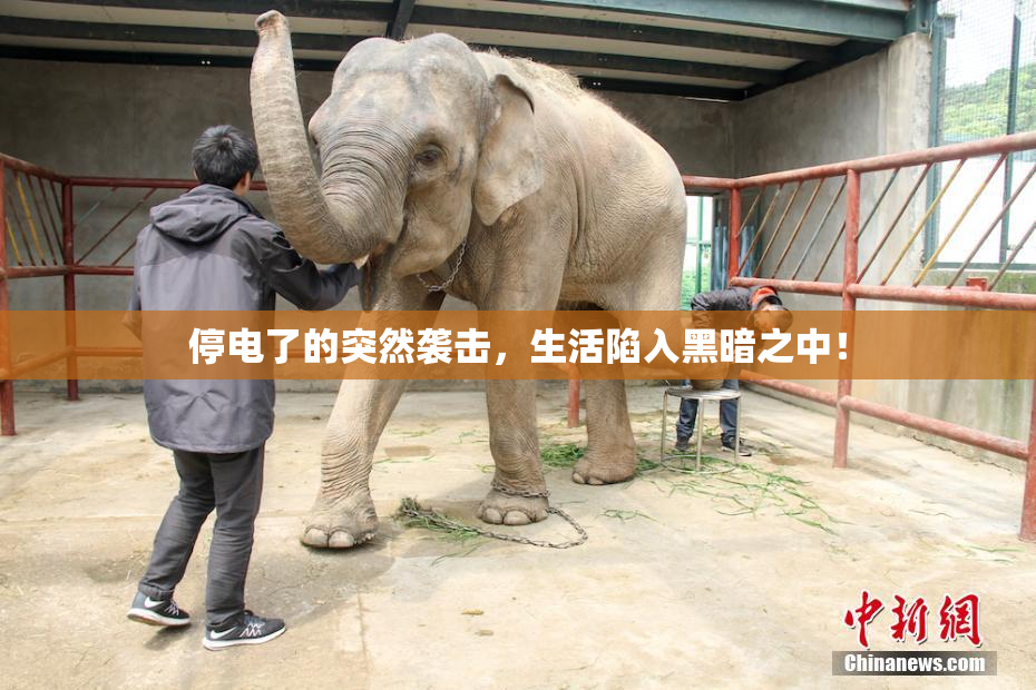 停电了的突然袭击，生活陷入黑暗之中！