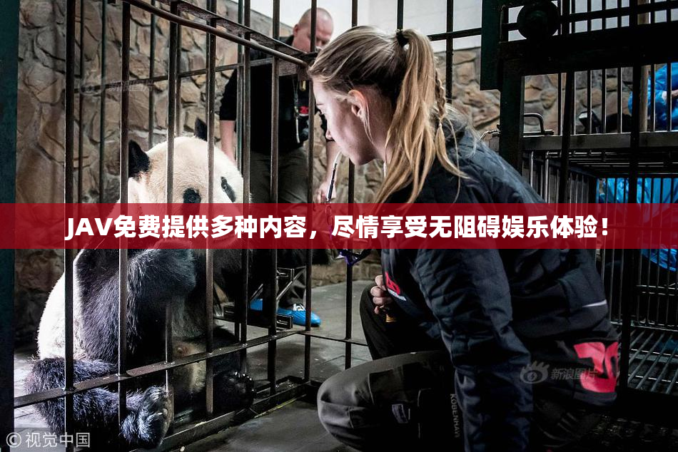 JAV免费提供多种内容，尽情享受无阻碍娱乐体验！