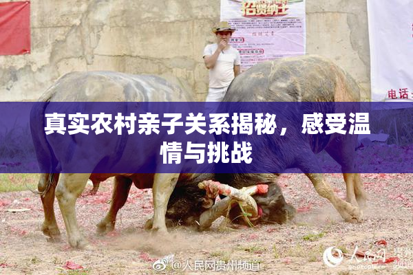 真实农村亲子关系揭秘，感受温情与挑战