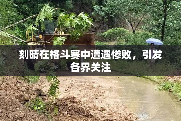 刻晴在格斗赛中遭遇惨败，引发各界关注