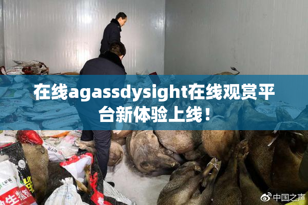 在线agassdysight在线观赏平台新体验上线！