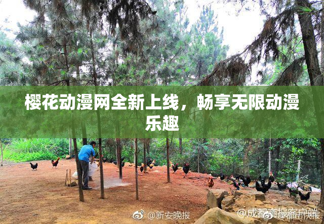 樱花动漫网全新上线，畅享无限动漫乐趣